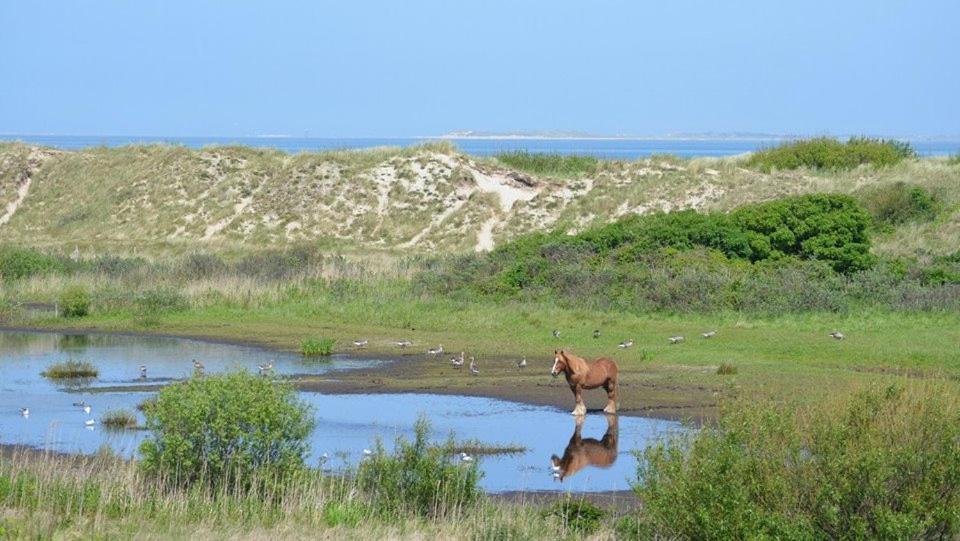 Jagershuistexel Bed & Breakfast Oosterend  Eksteriør bilde